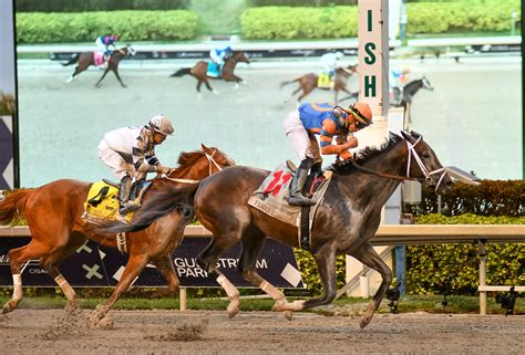 florida derby entries|2023 Florida Derby G1 .